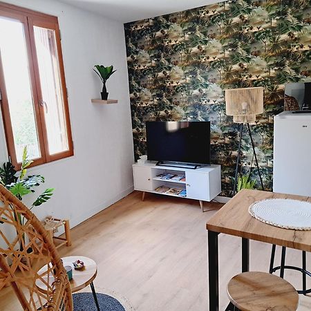 Le Jungle Appart, Centre Ville Narbonne Exterior photo